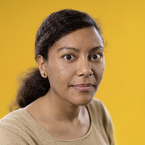 Glass.Mapper.Sc.Fields.Image